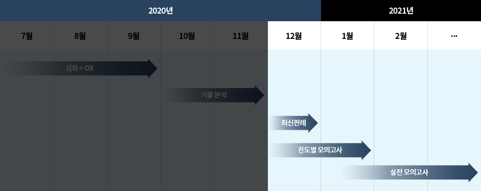 8개월간 커리큘럼