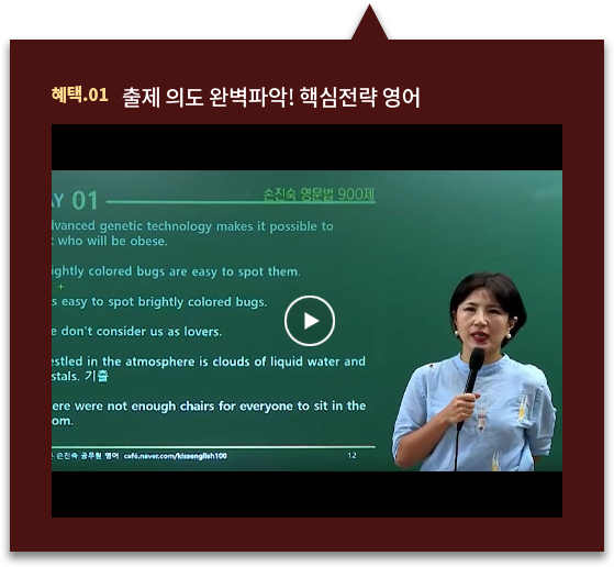 기출을 알면 답이 보인다 손진숙 ‘분석’ 영어