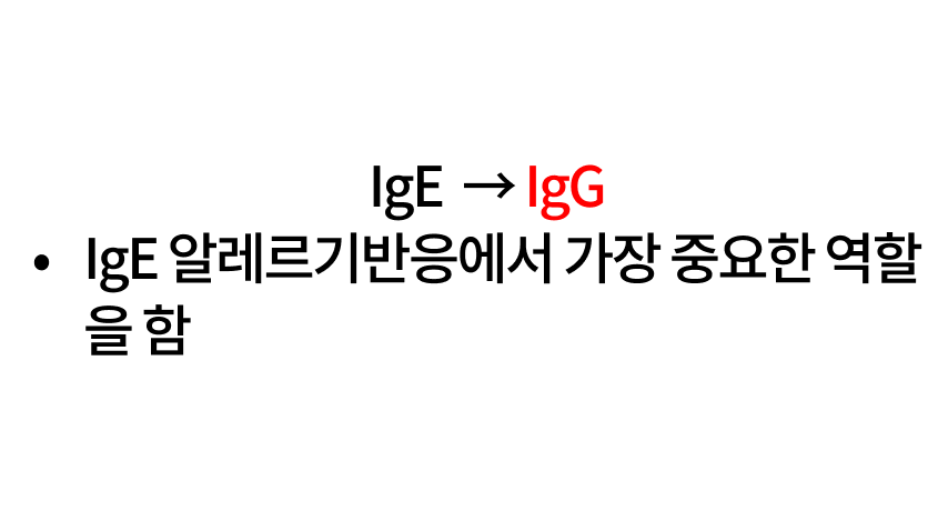 오늘의 문제 해설