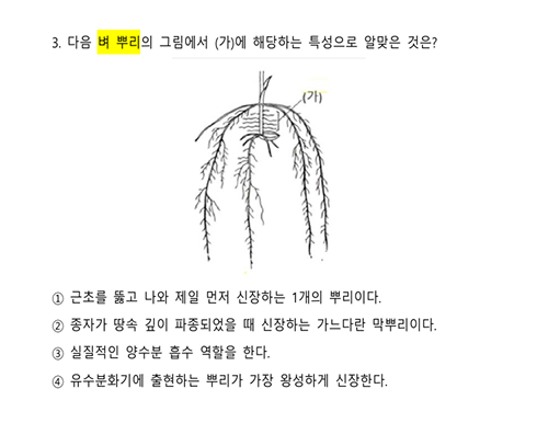 식용작물학 지방직 파이널 모의고사 3회 3번
