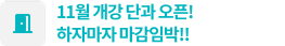 11월 개강 단과 오픈!